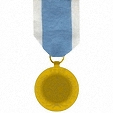 Medalla de la O.N.U. (Servicios especiales)